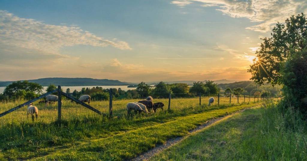 Buying a farm in Australia